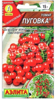 Томат Пуговка