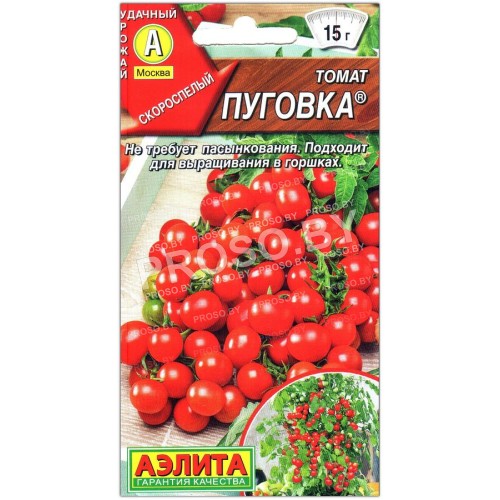 Томат Пуговка
