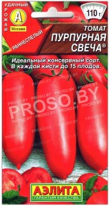 Томат Пурпурная свеча
