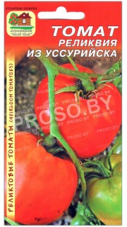 Томат Реликвия из Уссурийска