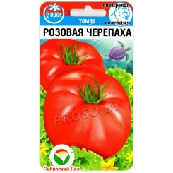 Томат Розовая черепаха