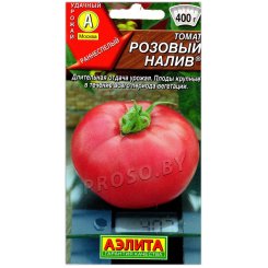 Томат Розовый налив