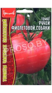 Томат Ручей фиолетовой собаки
