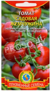 Томат Садовая жемчужина