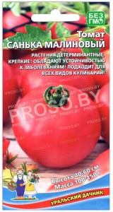Томат Санька малиновый