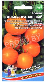 Томат Санька оранжевый