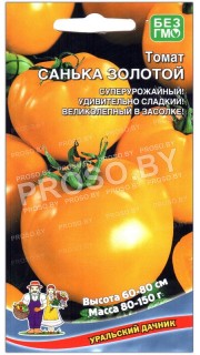 Томат Санька золотой
