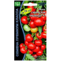 Томат Сибирская гирлянда F1