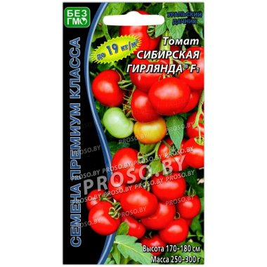 Томат Сибирская гирлянда F1