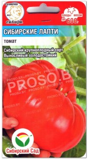 Томат Сибирские лапти