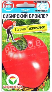 Томат Сибирский бройлер