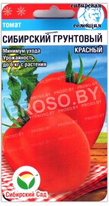 Томат Сибирский грунтовой красный