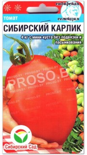 Томат Сибирский карлик