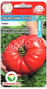 Томат Сибирский тренд