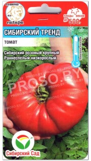 Томат Сибирский тренд