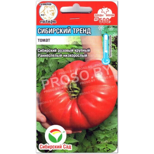 Томат Сибирский тренд
