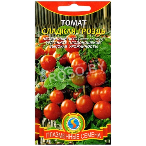 Томат Сладкая гроздь