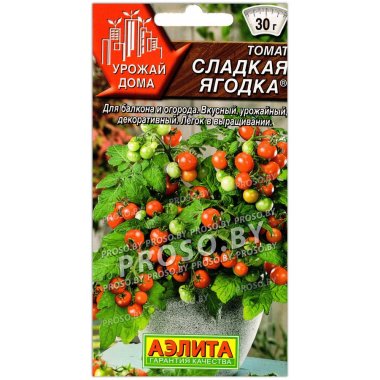 Томат Сладкая ягодка