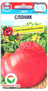Томат Слоник