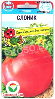Томат Слоник