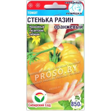 Томат Стенька Разин оранжевый