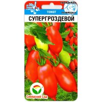 Томат Супергроздевой