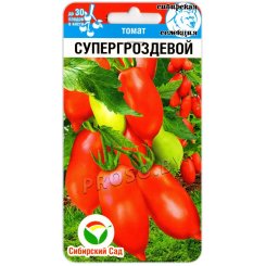 Томат Супергроздевой