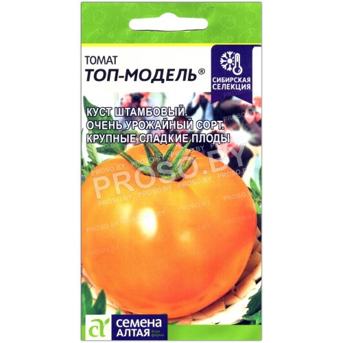 Томат Топ-модель