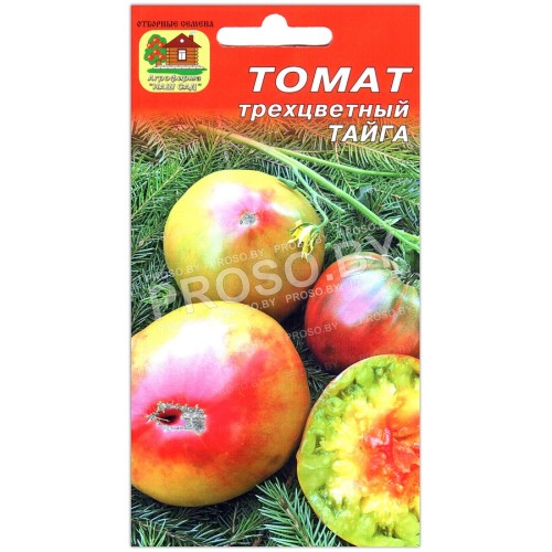 Томат трехцветный Тайга-1