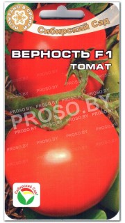 Томат Верность F1