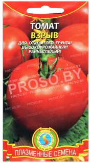 Томат Взрыв