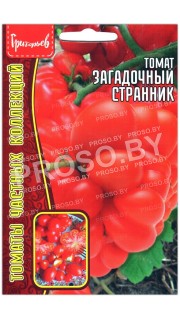 Томат Загадочный странник