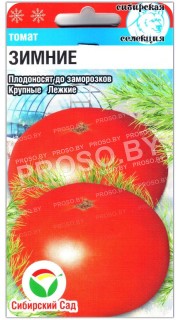 Томат Зимние