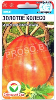 Томат Золотое колесо