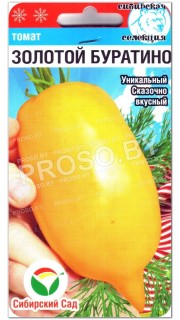 Томат Золотой буратино