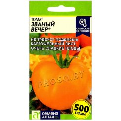 Томат Званый вечер