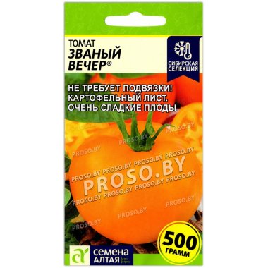 Томат Званый вечер