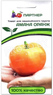 Томат Амана оранж
