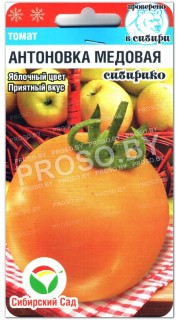 Томат Антоновка медовая