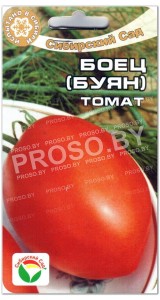 Томат Боец (Буян)