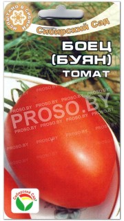 Томат Боец (Буян)