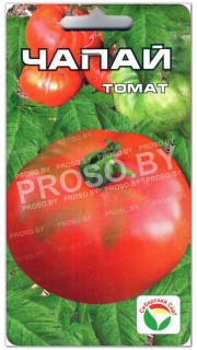 Томат Чапай