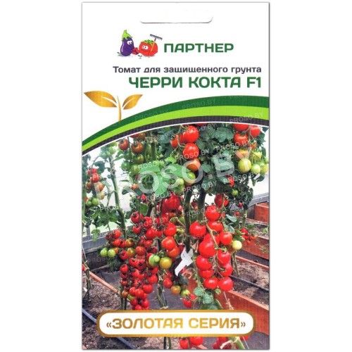 Томат Черри Кокта F1