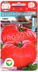 Томат Душа компании