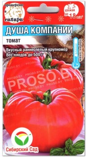 Томат Душа компании