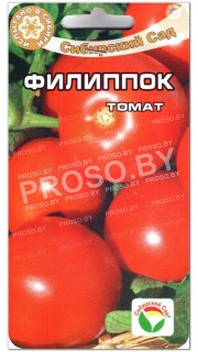 Томат Филиппок