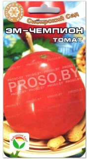 Томат Эм-чемпион