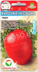 Томат Курочка-несушка