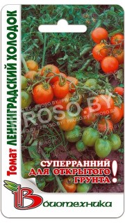 Томат Ленинградский холодок