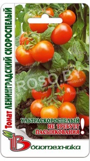 Томат Ленинградский скороспелый